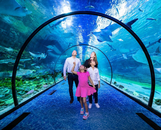 The National Aquarium Abu Dhabi