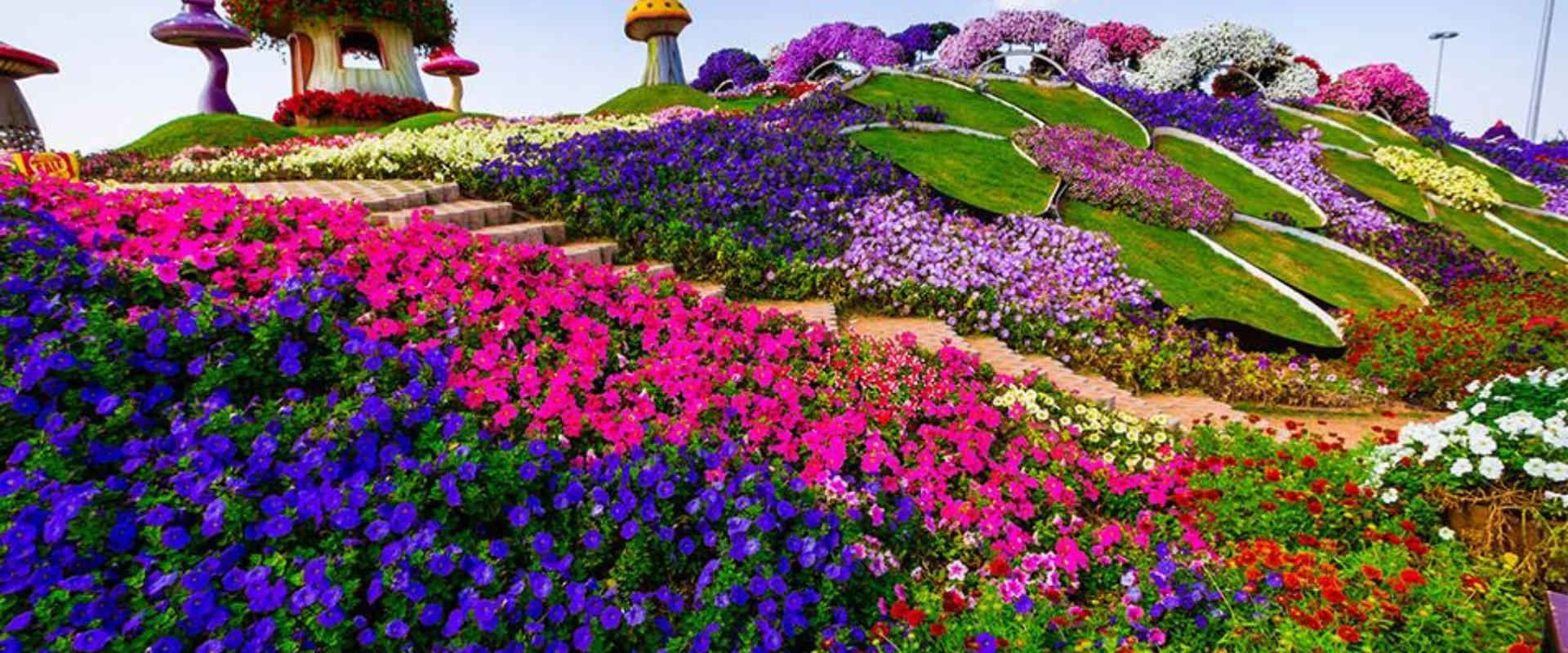 miracle-garden-banner-03