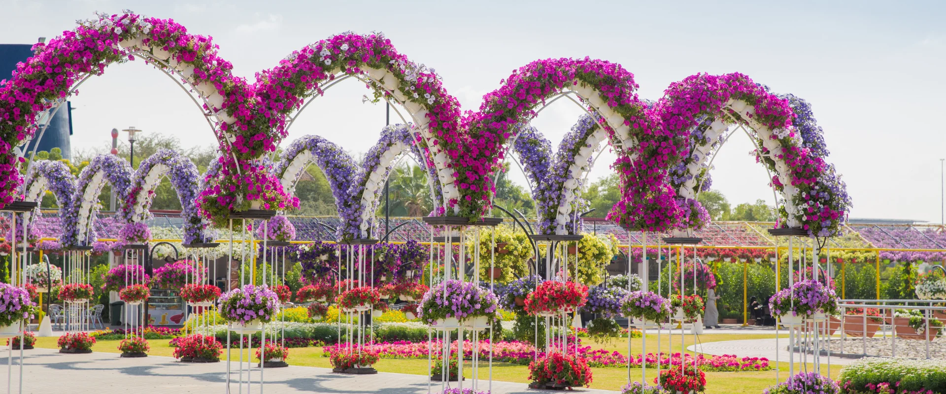 miracle-garden-banner-04