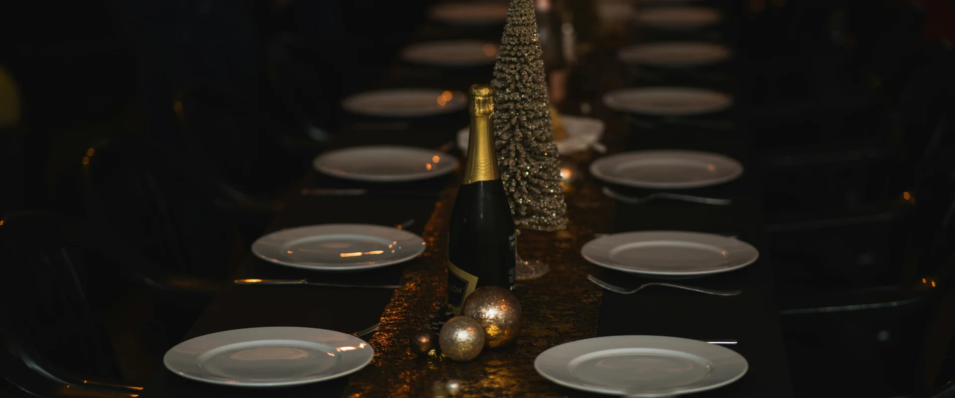 yacht-dinner-cruise-marina-banner-05